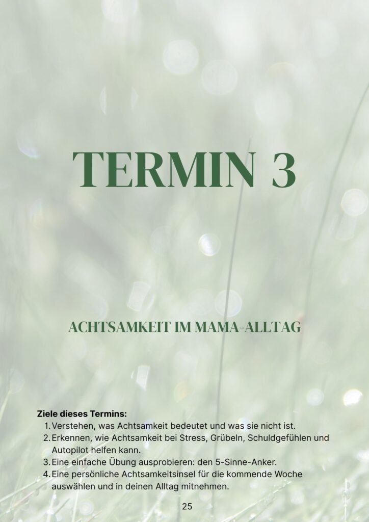 Termin 3: Achtsamkeit im Mama-Alltag