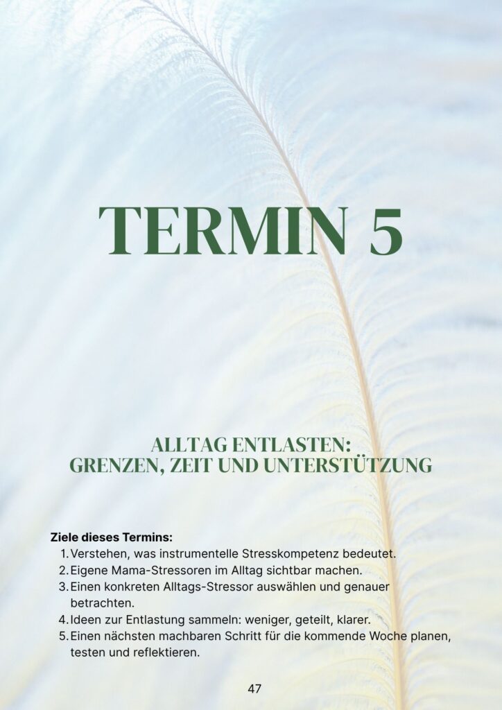 Termin 5: Grenzen, Zeit und Unterstützung