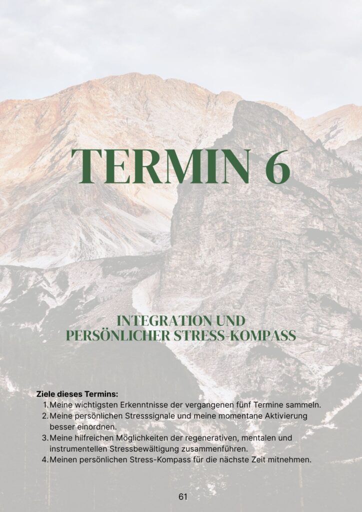 Termin 6: Integration und persönlicher Stress-Kompass