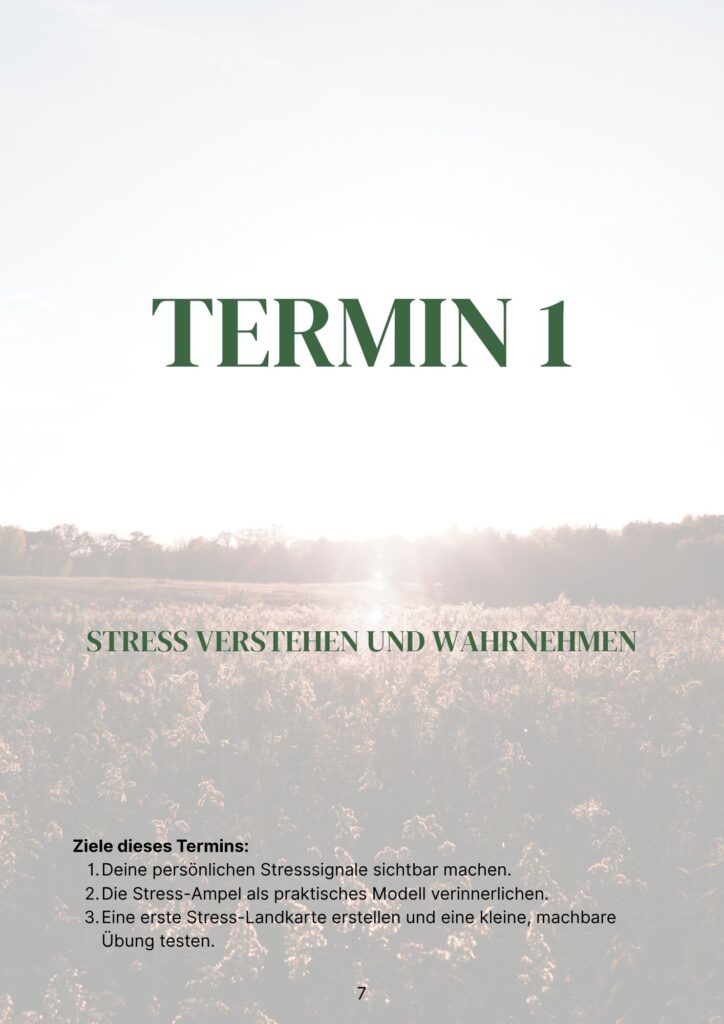 Termin 1: Stress verstehen und wahrnehmen